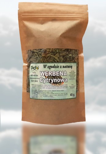 Werbena cytrynowa liść.jpg