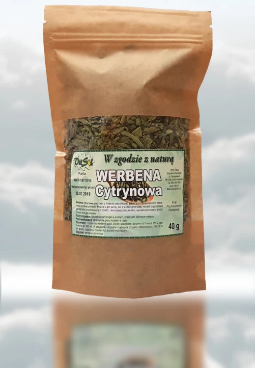 Werbena cytrynowa liść.jpg