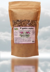 Nasiona ostropestu plamistego