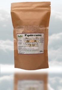 Łupina babki jajowatej