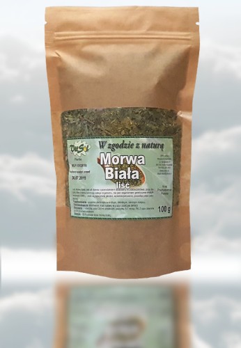 Morwa biała liść.jpg